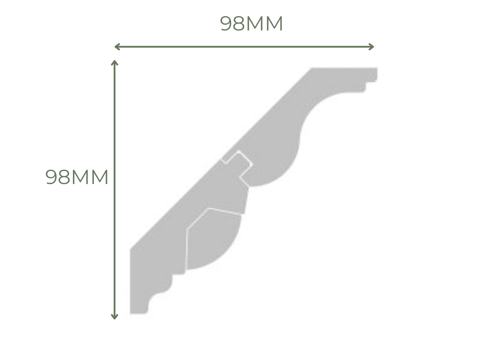 Profile 21 MD BC